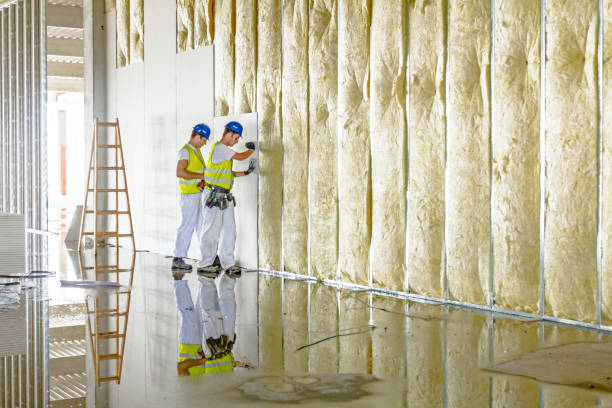 Best Insulation Removal  in Texanna, OK